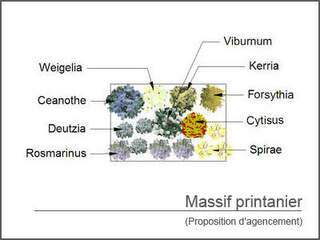  - Kit de massif : Massif printanier - 15 plants - Massifs