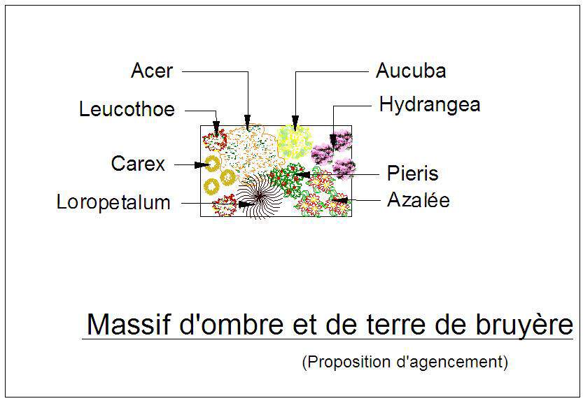  - Kit de massif : Ombre et terre de bruyère - 15 plants - Massifs