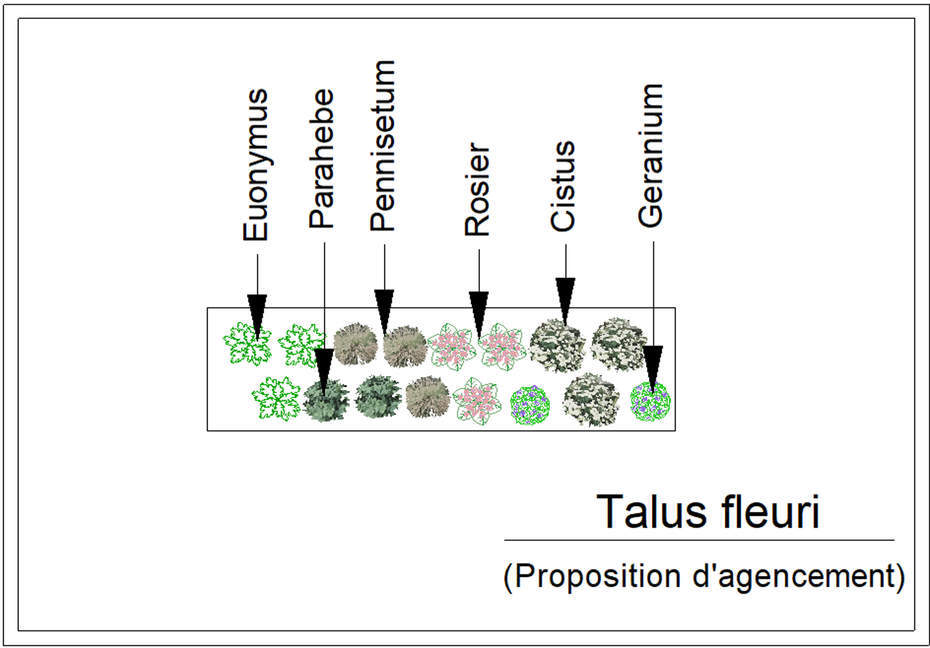  - Kit de talus : Talus fleuri - 15 plants - Plante de talus