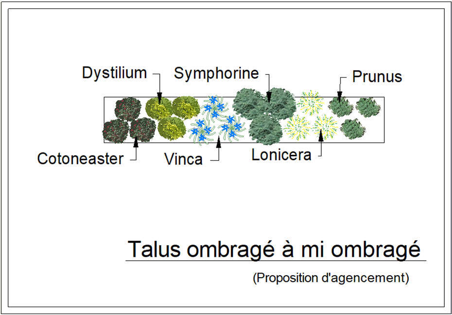  - Kit de talus : Ombragé (ou mi-ombragé) - 15 plants - Plante de talus