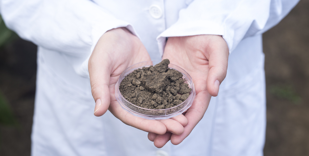 agronome-mains-tenant-le-sol-pour-l-inspection-de-la-fertilite