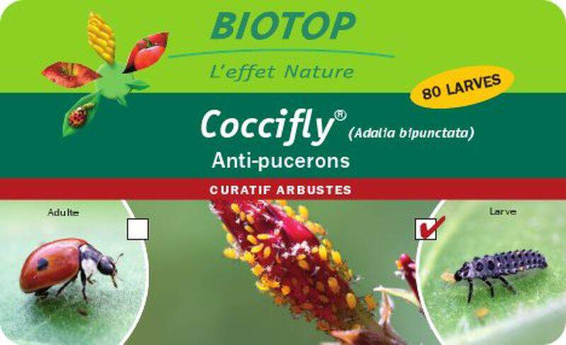  - - BIOTOP Coccinelle - Coccifly 80 larves (Pucerons) - Lutte biologique et protection