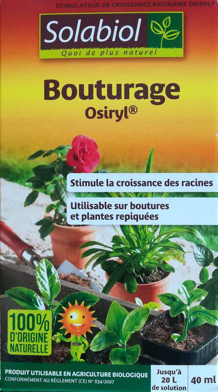 Utiliser l'hormone de bouturage