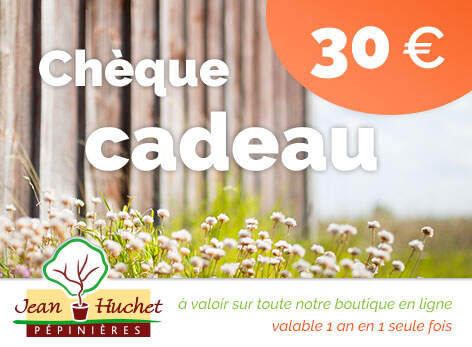  - Chèque cadeau 30€ - Chèque cadeau