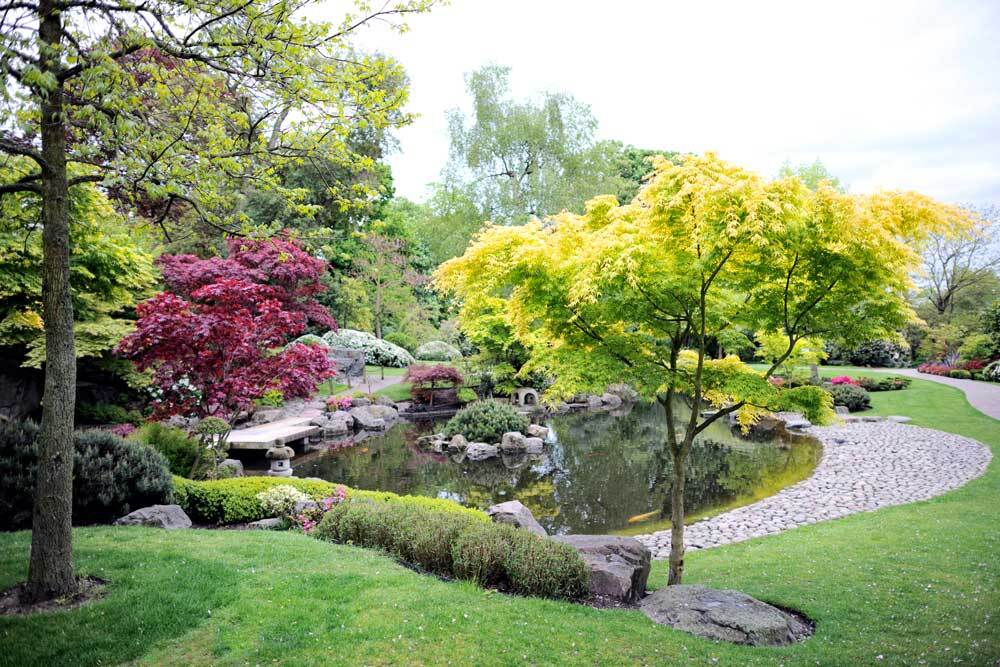 Composer son jardin japonais conseils