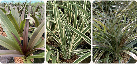 diapo-25-09-nouveaute-mobile