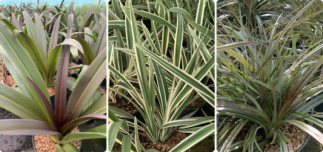 diapo-25-09-nouveaute