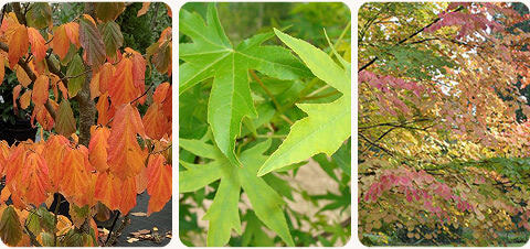 diapo-25-09-selection-mobile