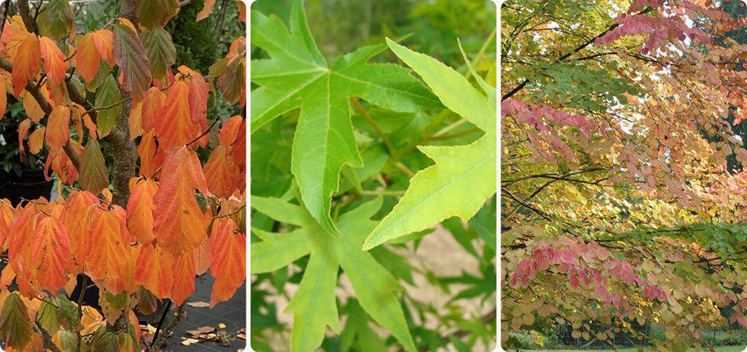 diapo-25-09-selection