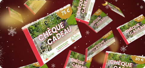 diapo-25-12-cheques-cadeaux-mobile