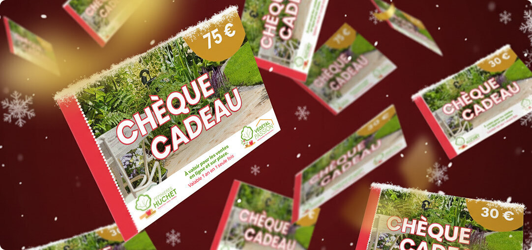 diapo-25-12-cheques-cadeaux