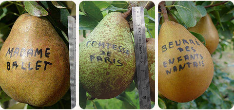 diapo-26-02-nouveaute-mobile