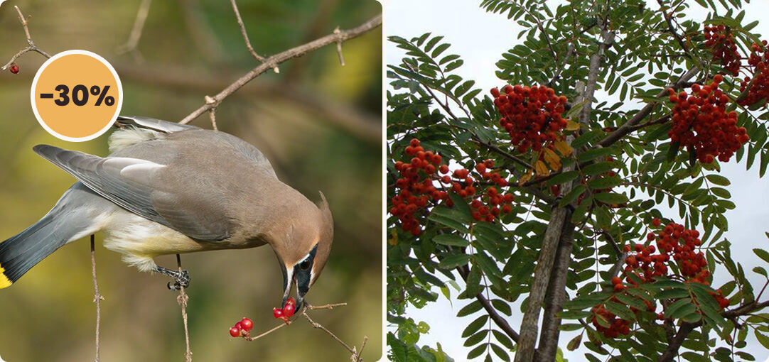 diapo-26-02-promotions