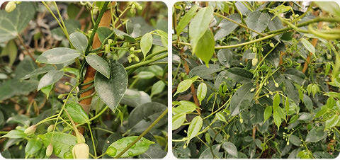 diapo-26-04-nouveaute-mobile