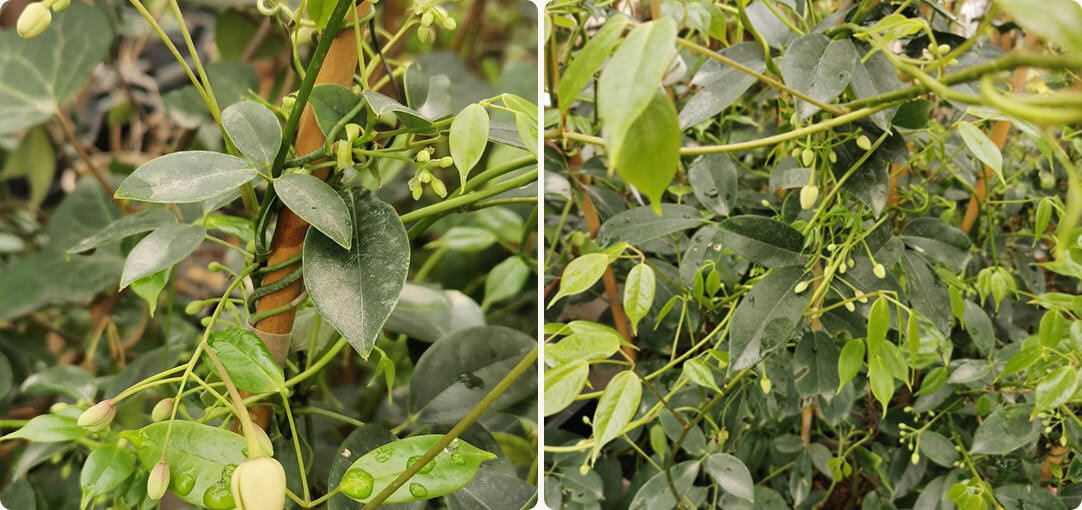 diapo-26-04-nouveaute