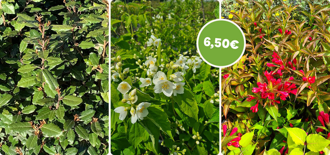 diapo-26-04-promotions