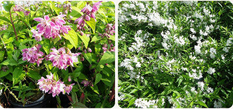 diapo-26-04-selection-mobile