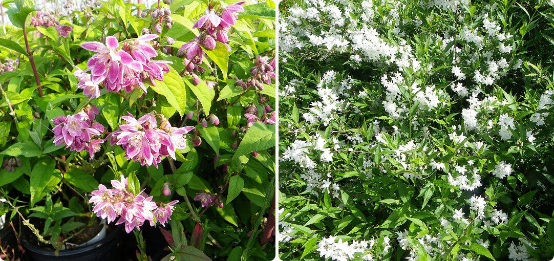 diapo-26-04-selection