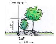 distance-de-plantation-lége