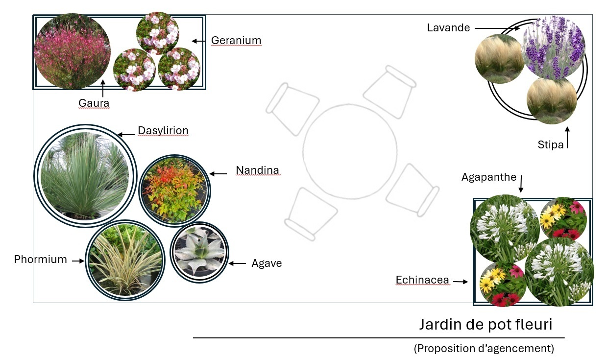  - Kit balcon : Jardin de pots - 15 plants - Plante balcon