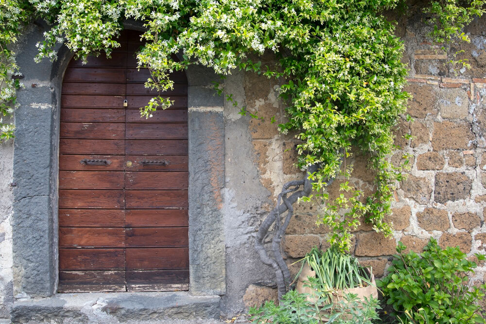 jasmin-vegetaliser-mur-et-façade-pour-limiter-la-chaleur