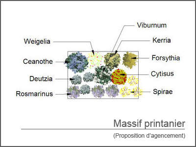  - Kit de massif : Massif printanier - 15 plants - Massifs