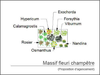  - Kit de massif : Massif fleuri champêtre - 15 plants - Massifs