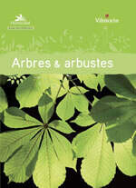  - Guide des végétaux - Arbres et arbustes - Livre
