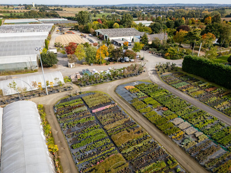 pepiniere-bretagne-pepinieres-huchet-large-choix-de-plantes-jardin