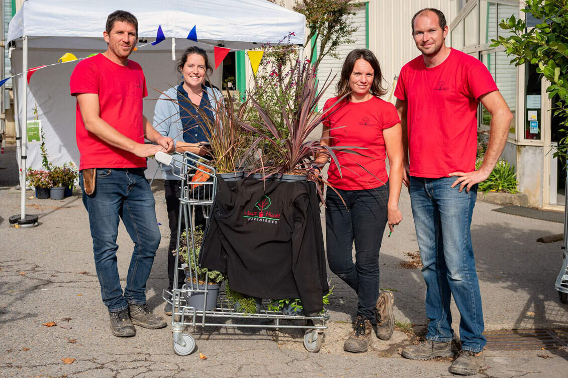 pepiniere-bretagne-pepinieres-huchet-large-choix-de-vegetaux-jardin