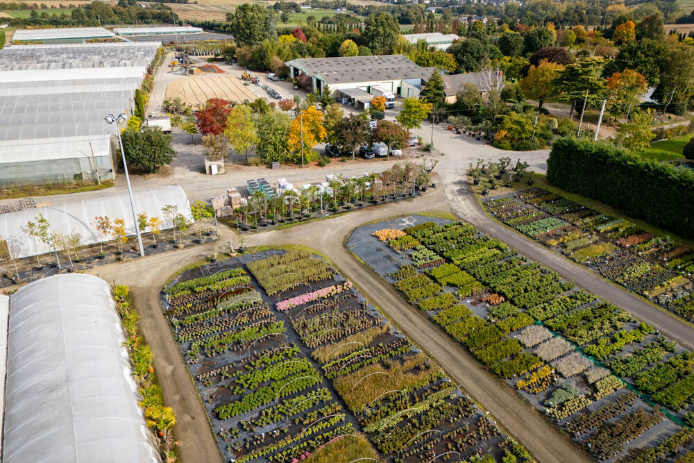 pepiniere-bretagne-producteur-plantes-arbustes
