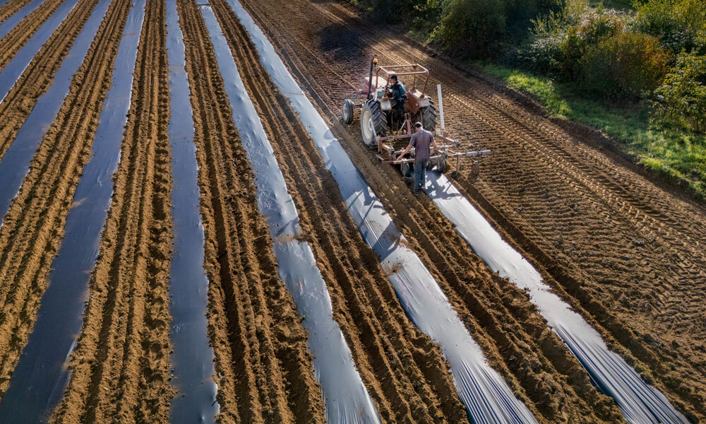 pepiniere-travail-terre-plantation-producteur-plante-et-vegetaux-pepinieres-huchet