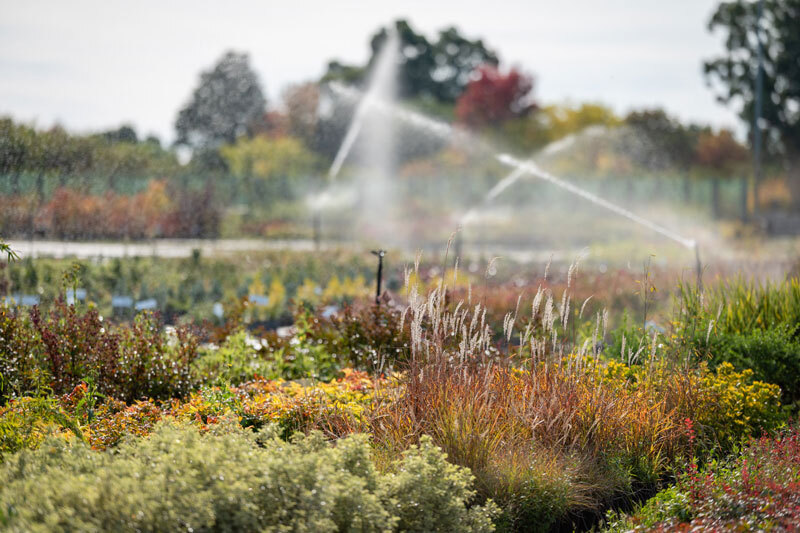 pepinieres-huchet-gestion-durable-eau-production-plantes-jardin