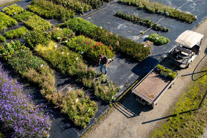 pepinieres-huchet-gestion-durable-producteur-de-vegetaux-en-bretagne