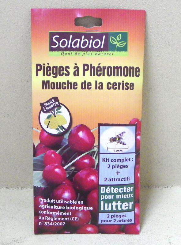  - PIEGES contre la mouche de la cerise - Lutte biologique et protection