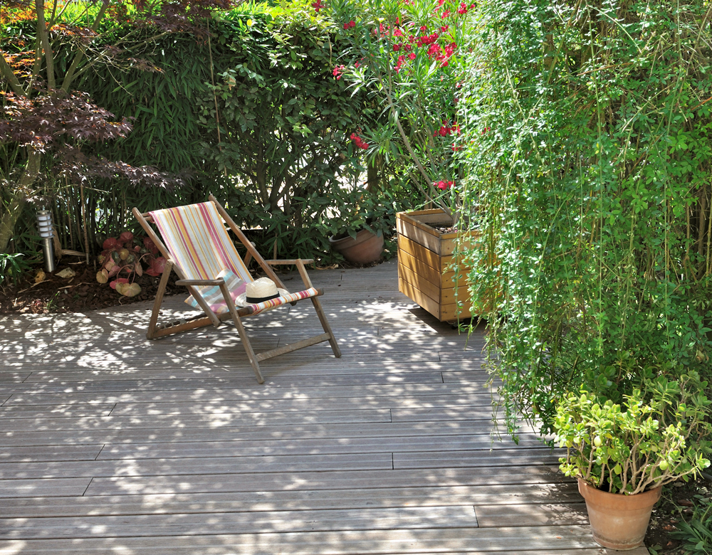 plante-grimpante-ecran-vegetal-protection-terrasse