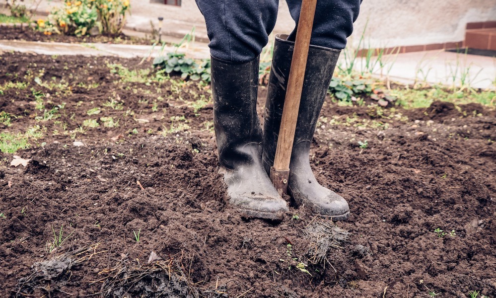preparation-sol-avant-fertilisation-plantation-automne