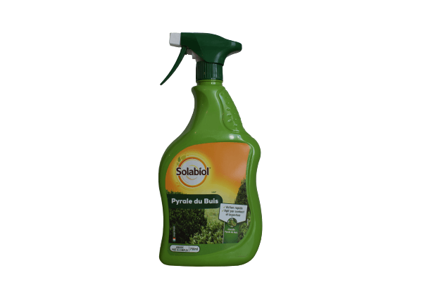  - Pyrale du buis - Solabiol - Lutte biologique et protection