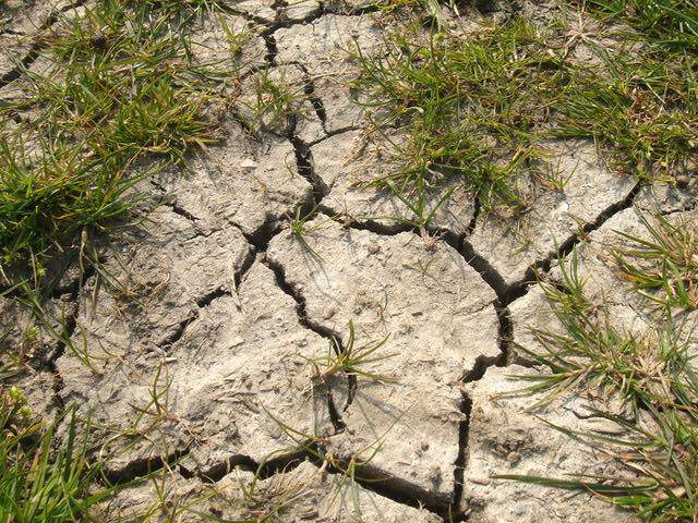 terre sèche sécheresse