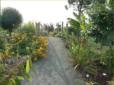 Les plantes couvre sol