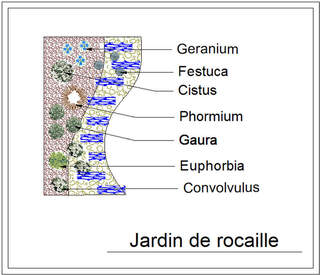  - Kit de massif : Jardin de rocaille - 15 plants - Massifs