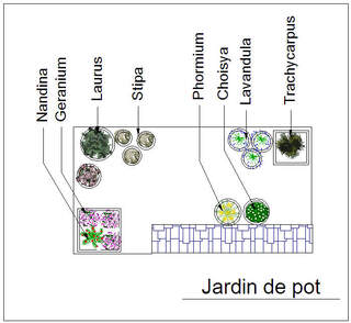  - Kit balcon : Jardin de pots - 15 plants - Plante balcon