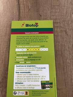 Biotop Pyrale du buis 1