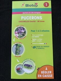  - - BIOTOP Coccinelle - Coccifly 80 larves (Pucerons) - Lutte biologique et protection