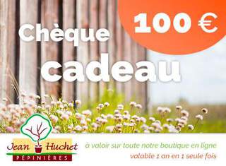  - Chèque cadeau 100€ - Chèque cadeau