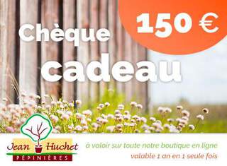  - Chèque cadeau 150€ - Chèque cadeau