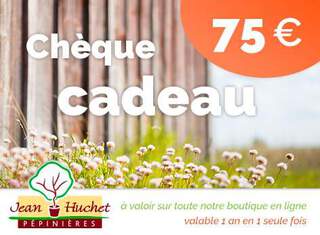  - Chèque cadeau 75€ - Chèque cadeau