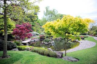 Composer son jardin japonais conseils