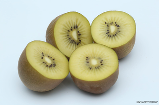 Actinidia deliciosa - KIWI duo jaune 'Kiw'happy' - Arbre fruitier
