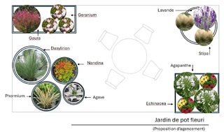  - Kit balcon : Jardin de pots - 15 plants - Plante balcon